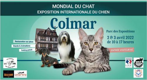 Colmar Expo