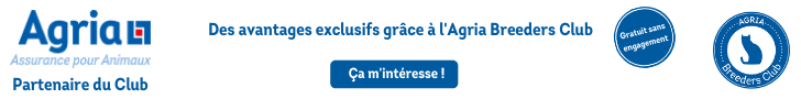 Banniere club de race chat 728 x 90