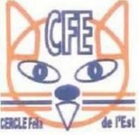 CFE