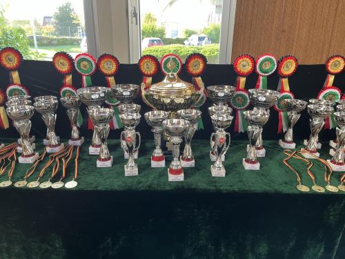 PODIUM